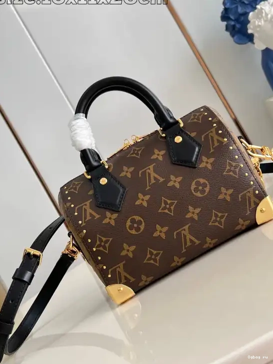 Trunk Speedy Vuitton Louis 20 0404